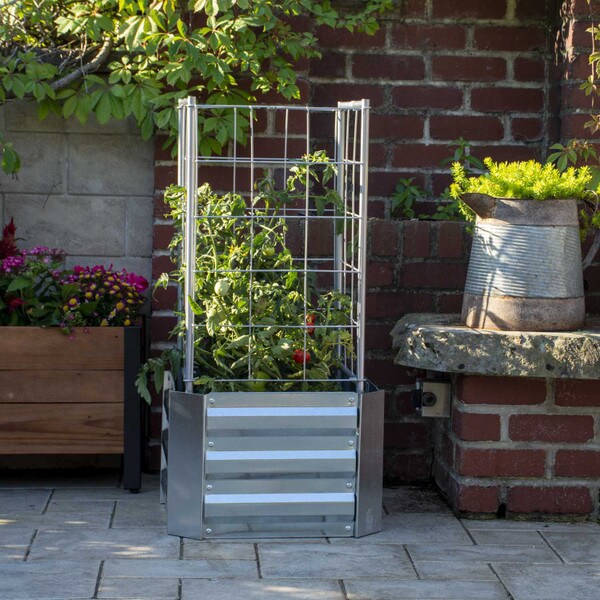 Galvanized Steel Raised Garden Bed